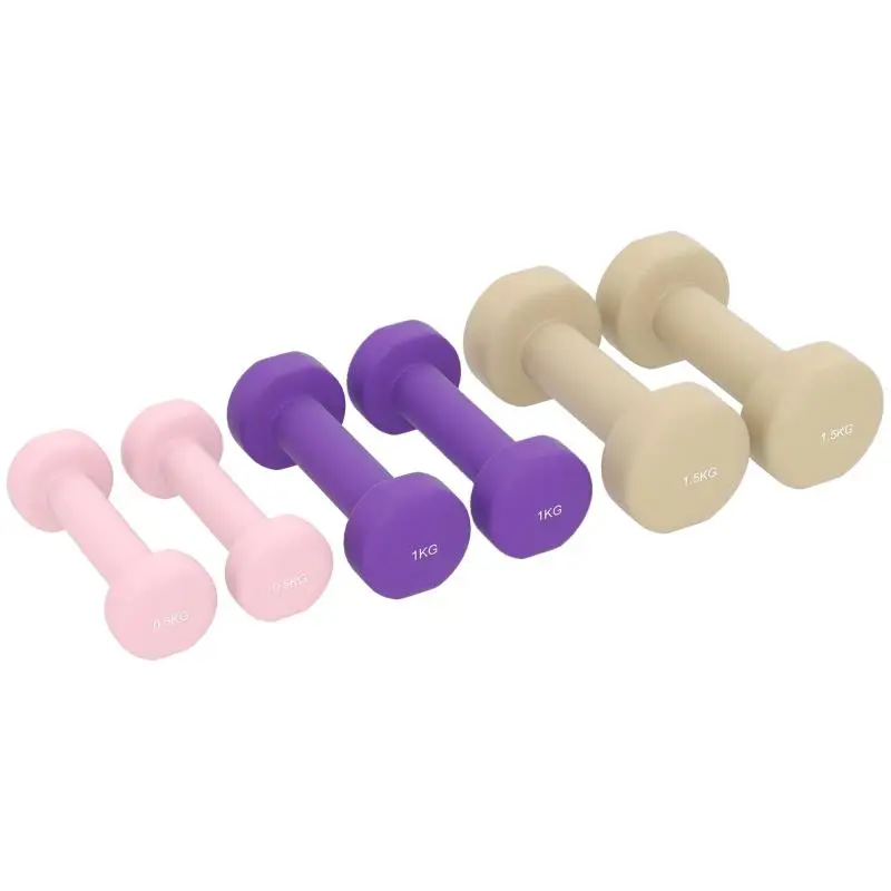 6 kg Fitness Dumbbell Set with Non-Slip Grip and Carry Case, Multicolored