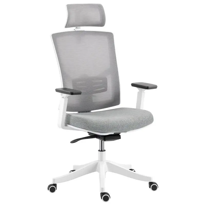 Ergonomic and Breathable Office Chair with 4D Dynamic Lumbar Support, 64.5x62.5x112-122 cm, Multicolored