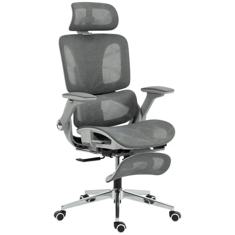 Ergonomic office chair, mesh computer chair with separate backrest, lumbar support, 4D folding armrests, grey